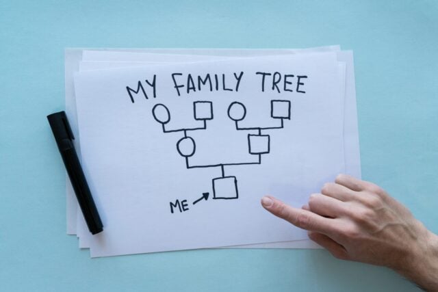 Finger pointing to family genogram. Genealogy concept