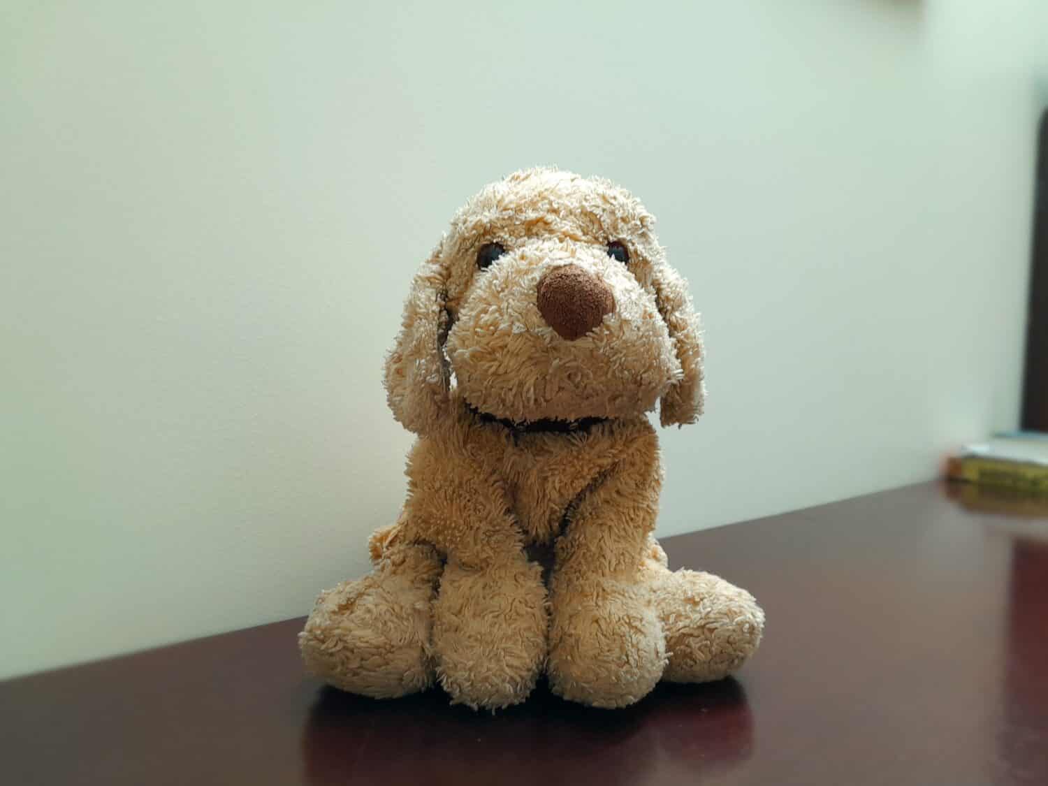 A beige stuffed dog plushie with black eyes and brown nose