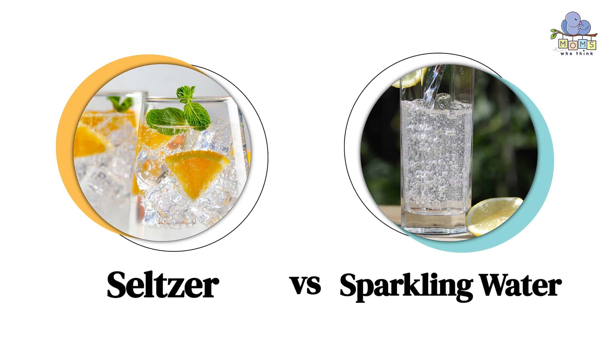 Seltzer vs. Sparkling Water Is One Healthier & 5 Key Differences