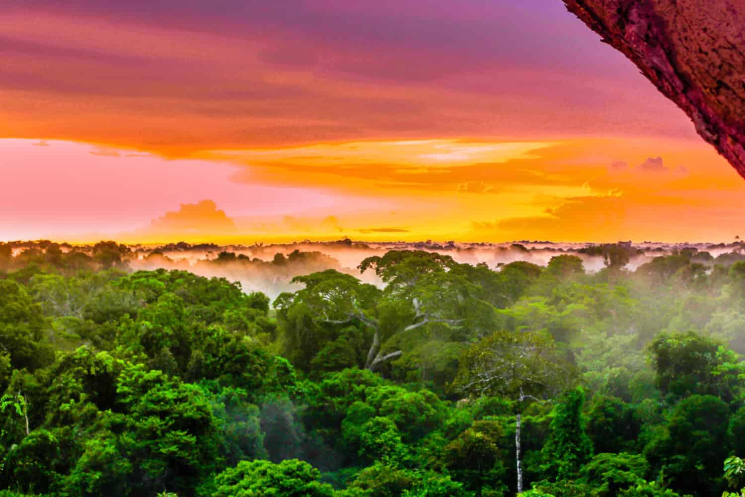 View on purple sunset over rainforest by Leticia in Colombia