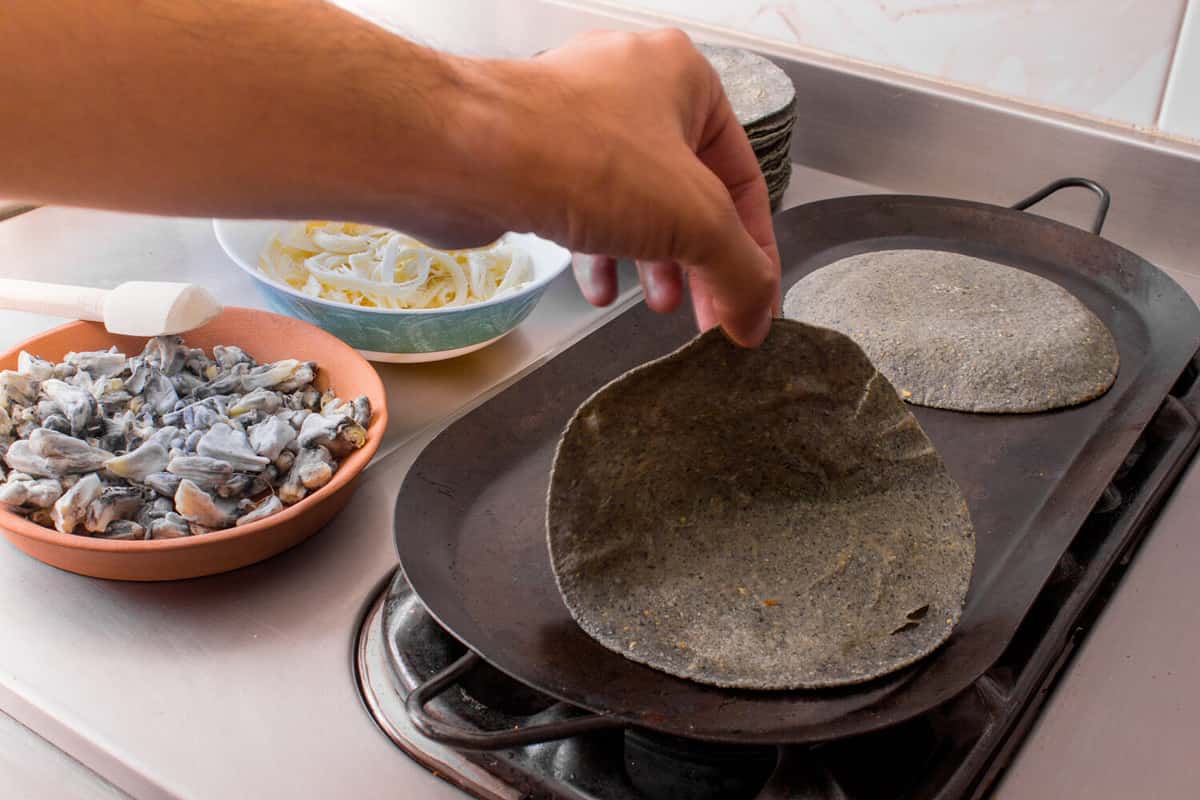 preparation process of cheese and huitlacoche quesadillas with blue corn tortillas in Mexico