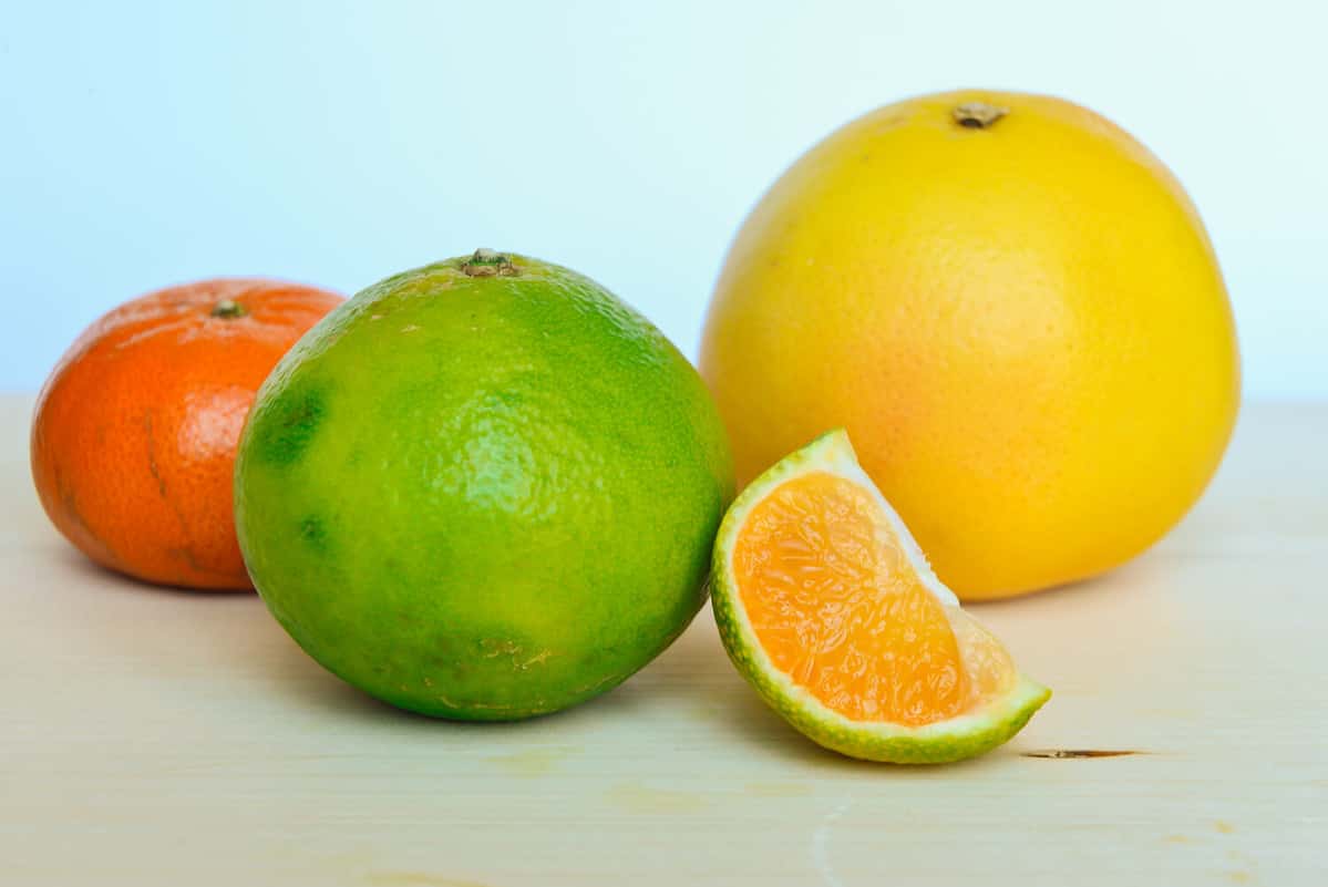 tangerine, grapefruit and ugli on a cutting board