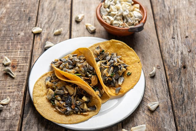 Traditional mexican corn smut taco called "huitlacoche" on wooden background