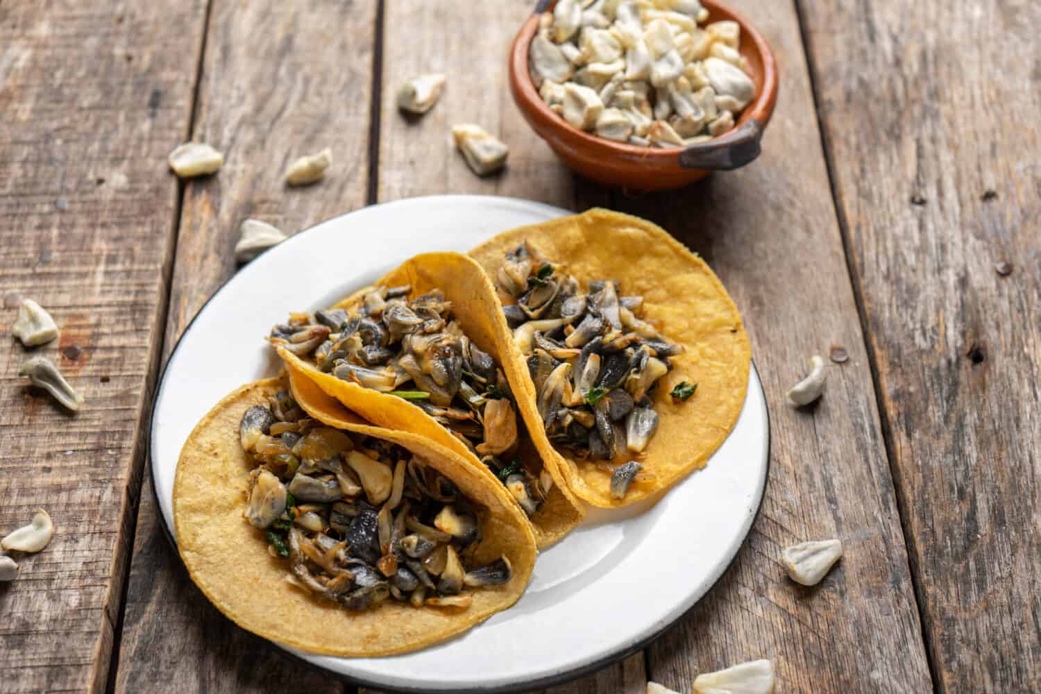 Traditional mexican corn smut taco called "huitlacoche" on wooden background