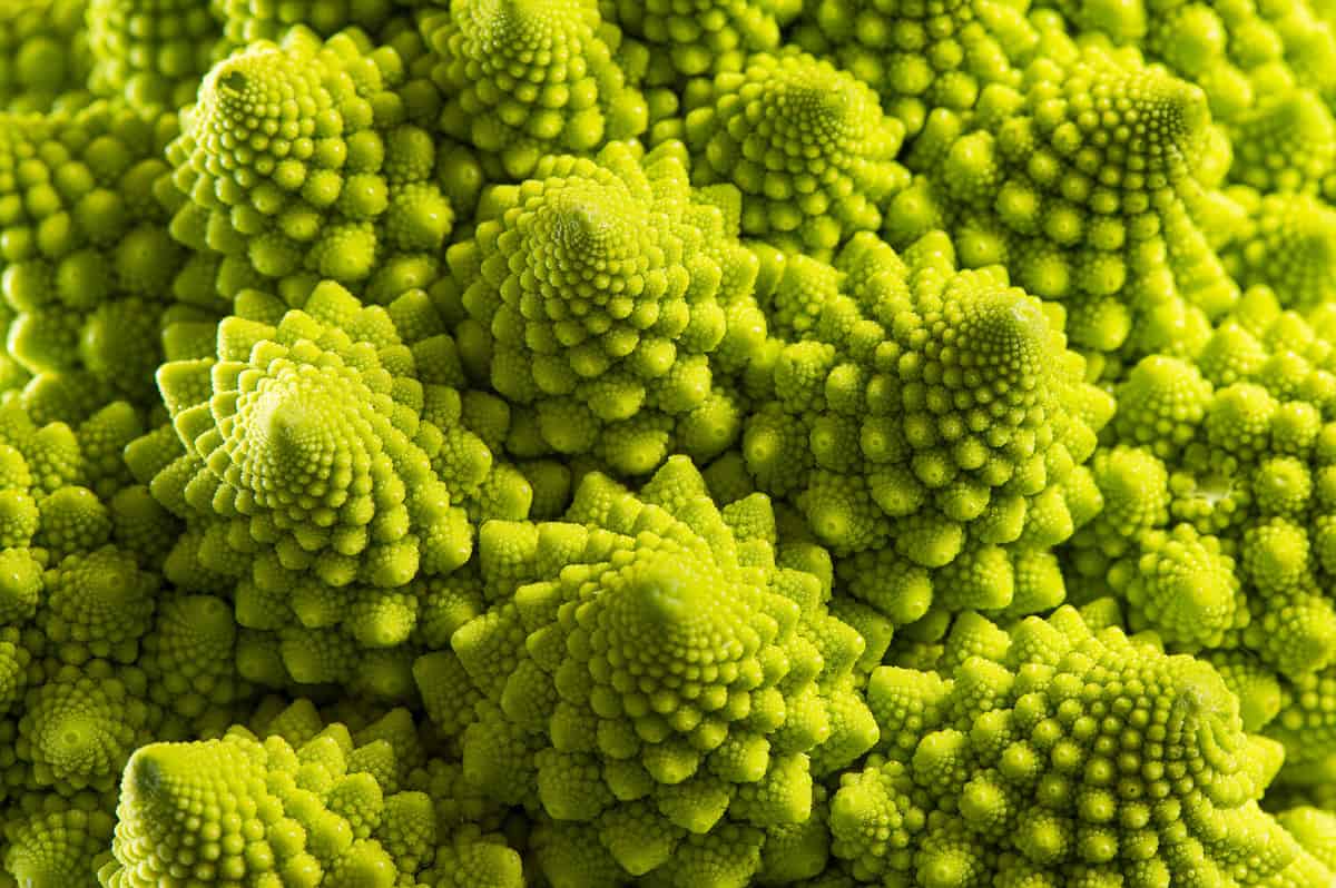 What Is Romanesco? Health Benefits, Recipes, How to Cook It, and More