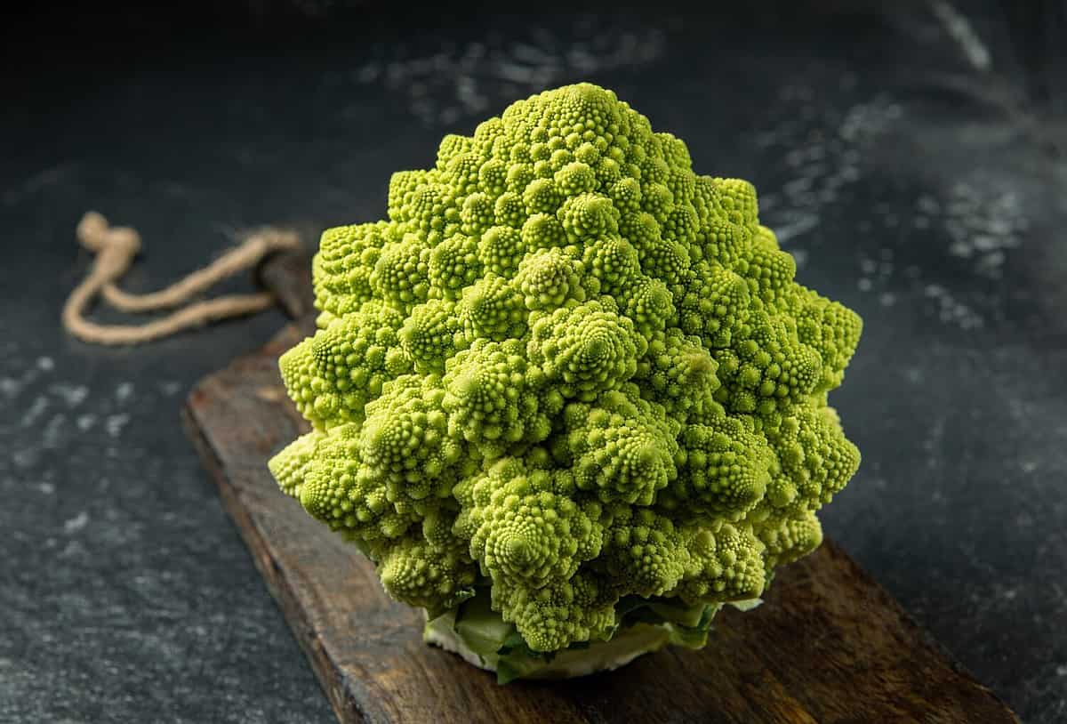 Romanesco broccoli head on a dark stone surface, cabbage, close up, fibonacci sequence, for those who love mathematics