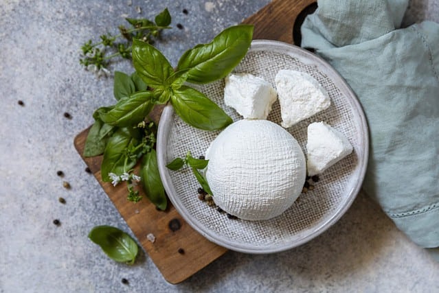 Homemade whey ricotta cheese or cottage cheese with basil ready to eat. Vegetarian healthy diet, fermentation food concept. View from above.