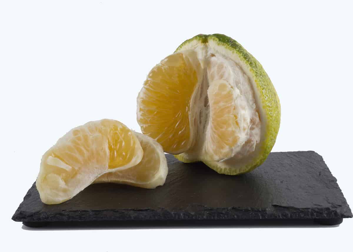 Ugli fruit on white background