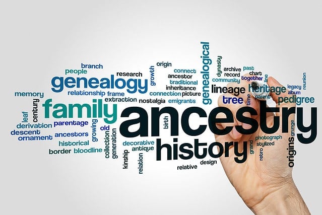 Ancestry word cloud concept on grey background.