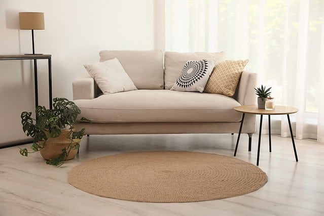 Living room interior with comfortable sofa and stylish round rug