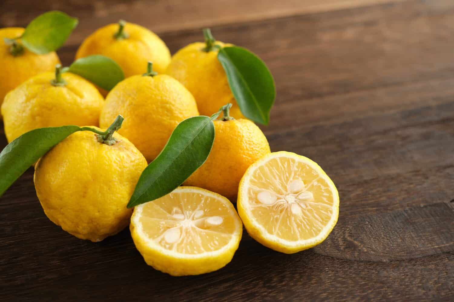 Japanese yuzu fruits placed on a wood table