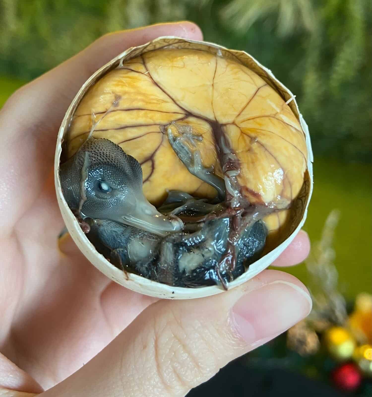 Balut is Phillipines street food , it is a developed embryo. It has soup inside and taste yummy