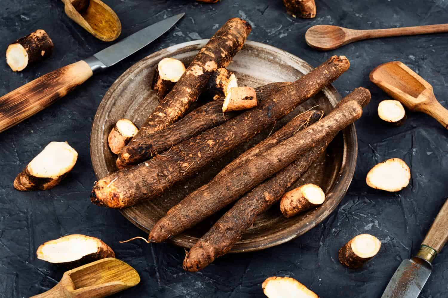 Salsify, unpeeled root, medicine, homeopathic herbs