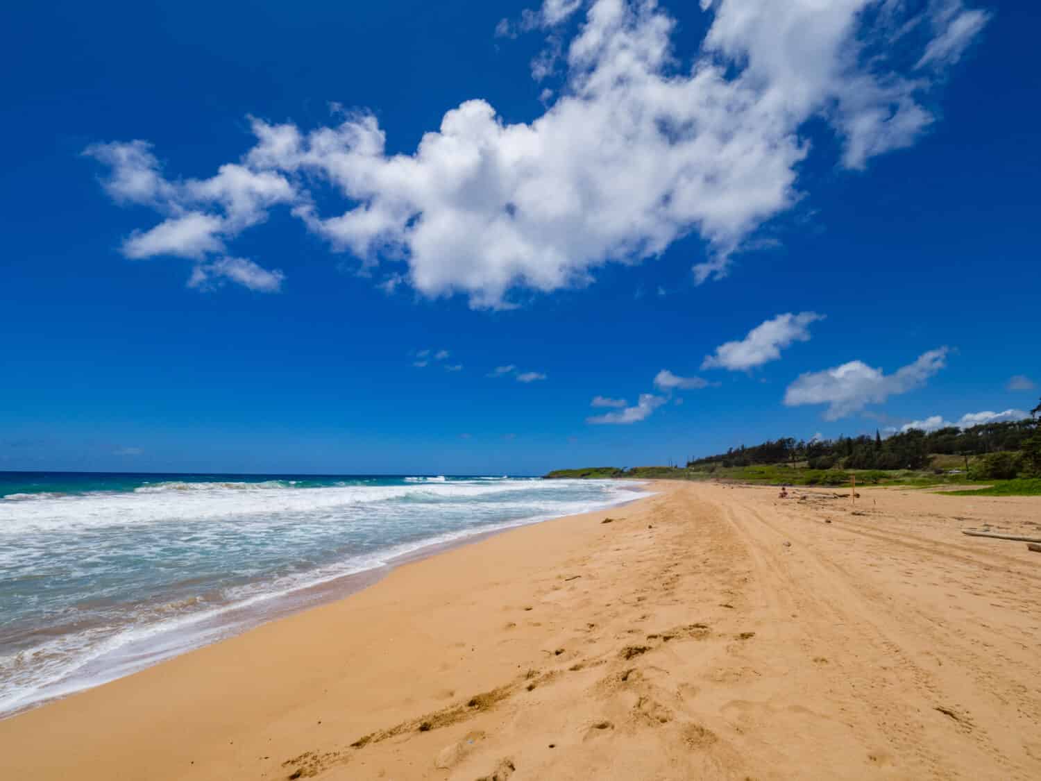 Kealia Beach, Kapaa, Kauai, Hawaii, USA