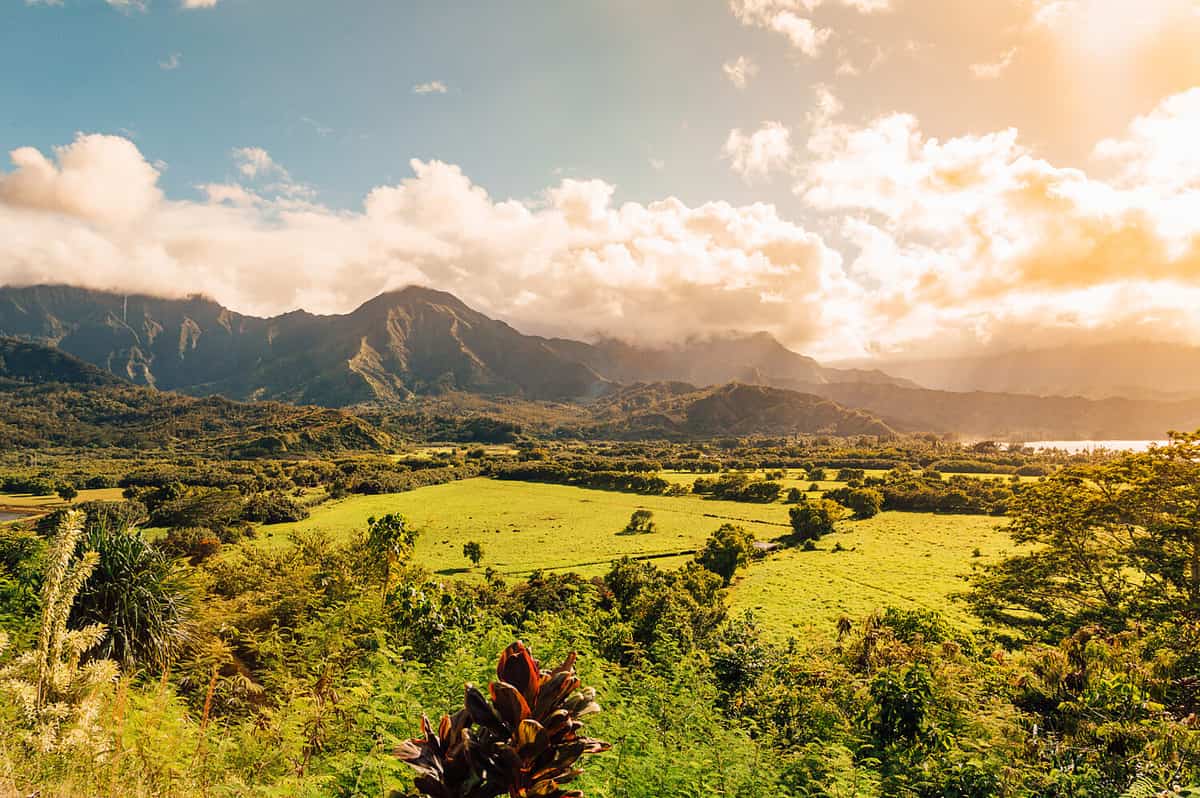 Beautiful nature on the Kauai island, Hawaii, USA. Panoramic view on mountains, rivers, fields and waterfalls.