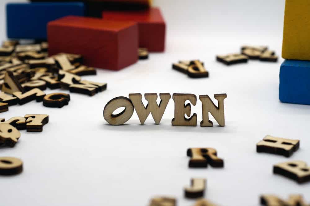 popular american male first name owen