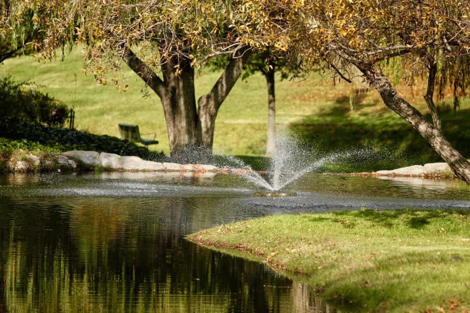 City park in Concord, California.