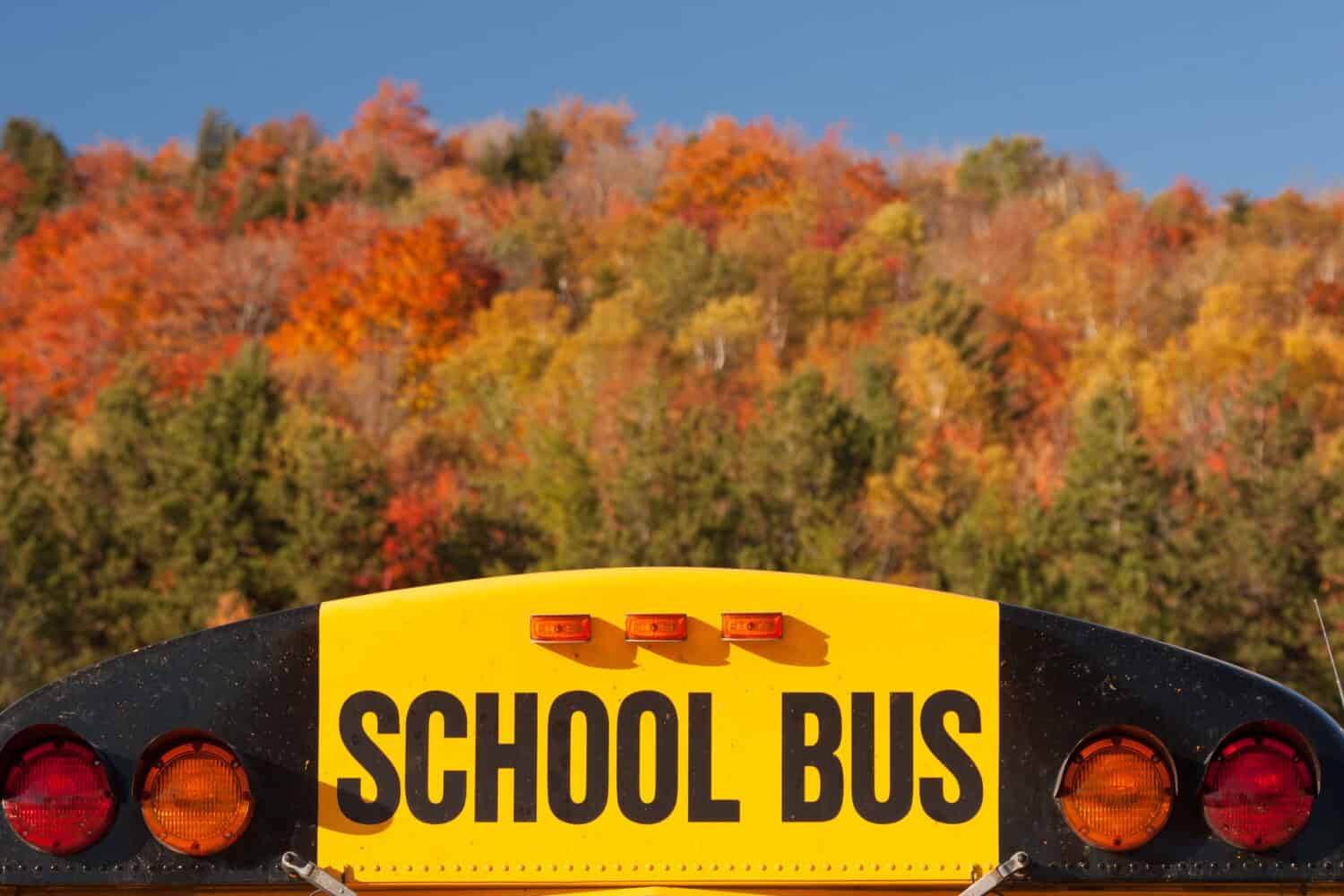 Top of a school bus on an autumn day., Stowe, Vermont, USA