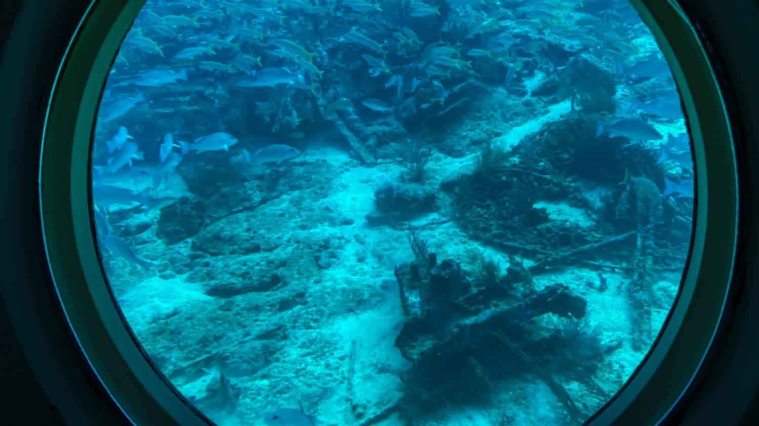 Aruba -2022: View from viewing portals on Atlantis VI Submarine. Canadian passenger submarine company. Interior of the tourist submarine Atlantis whilst submerged. Sunken ship makes coral reef.