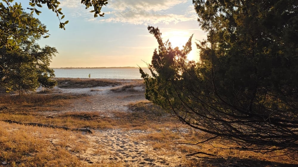 View of the beach through the trees at sunset at Fort Clinch State Park