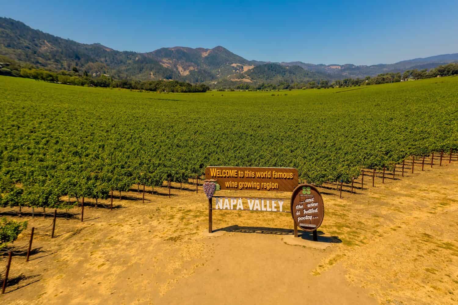 Field of grape vines and sign for wine of Napa Valley California