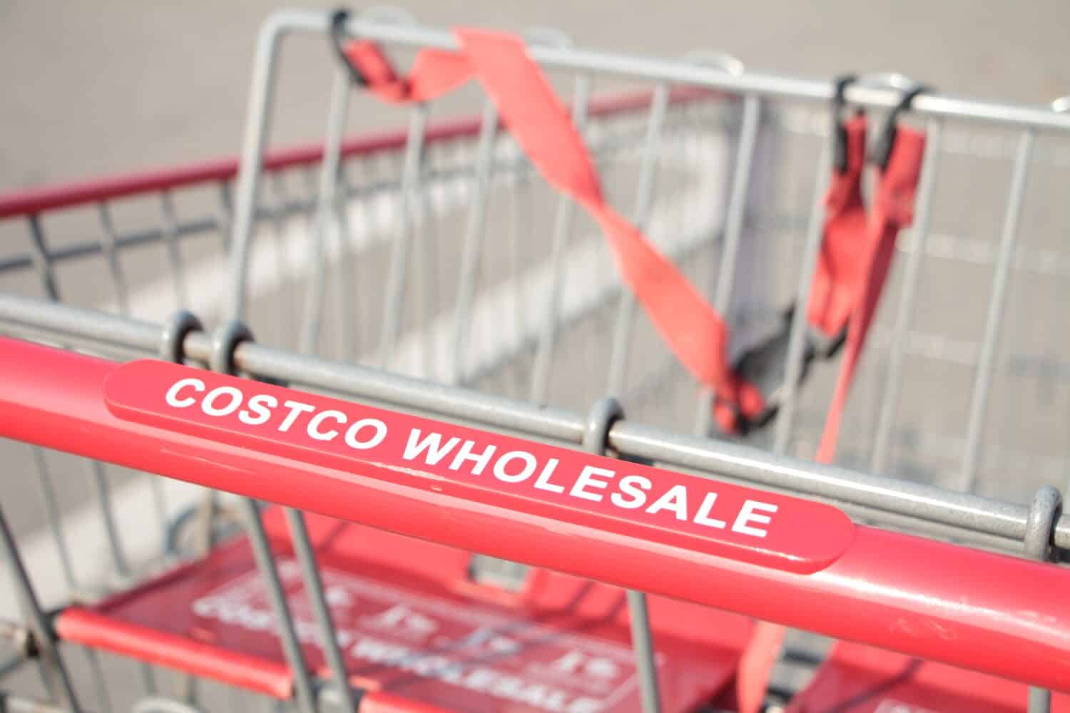 costco wholesale red silver shopping cart close up on costco wholesale writing caption text on handle close up in summer shot on angle