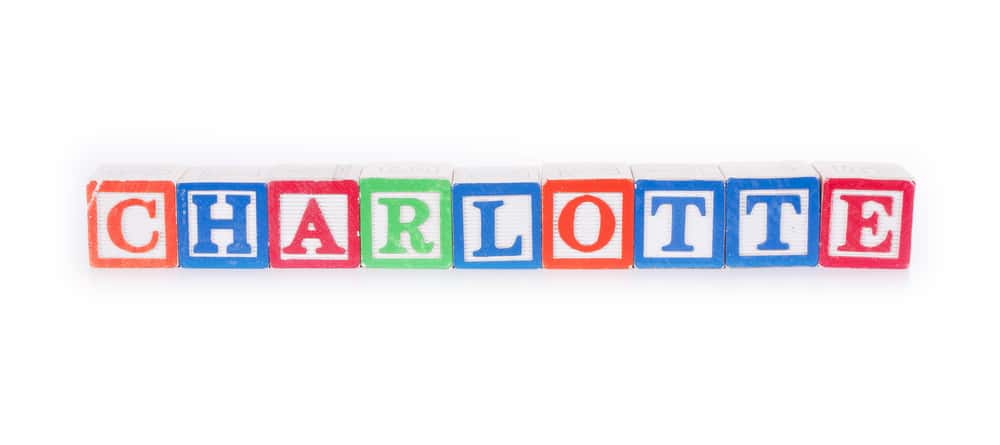 Toy blocks spelling out the name "CHARLOTTE"