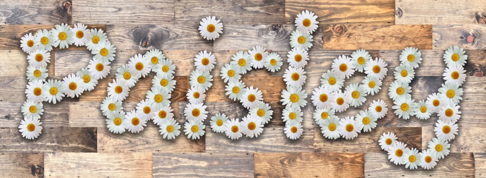 Paisley Name in Daisy Letters Reclaimed Wood Background