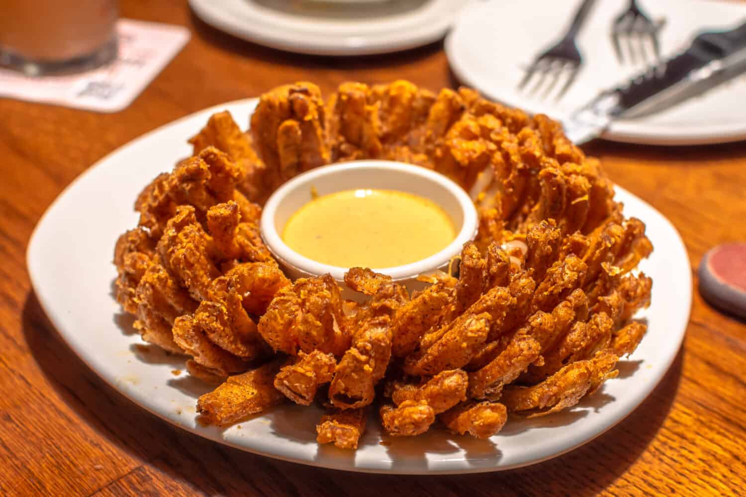 Fried blooming onion with dipping sauce.