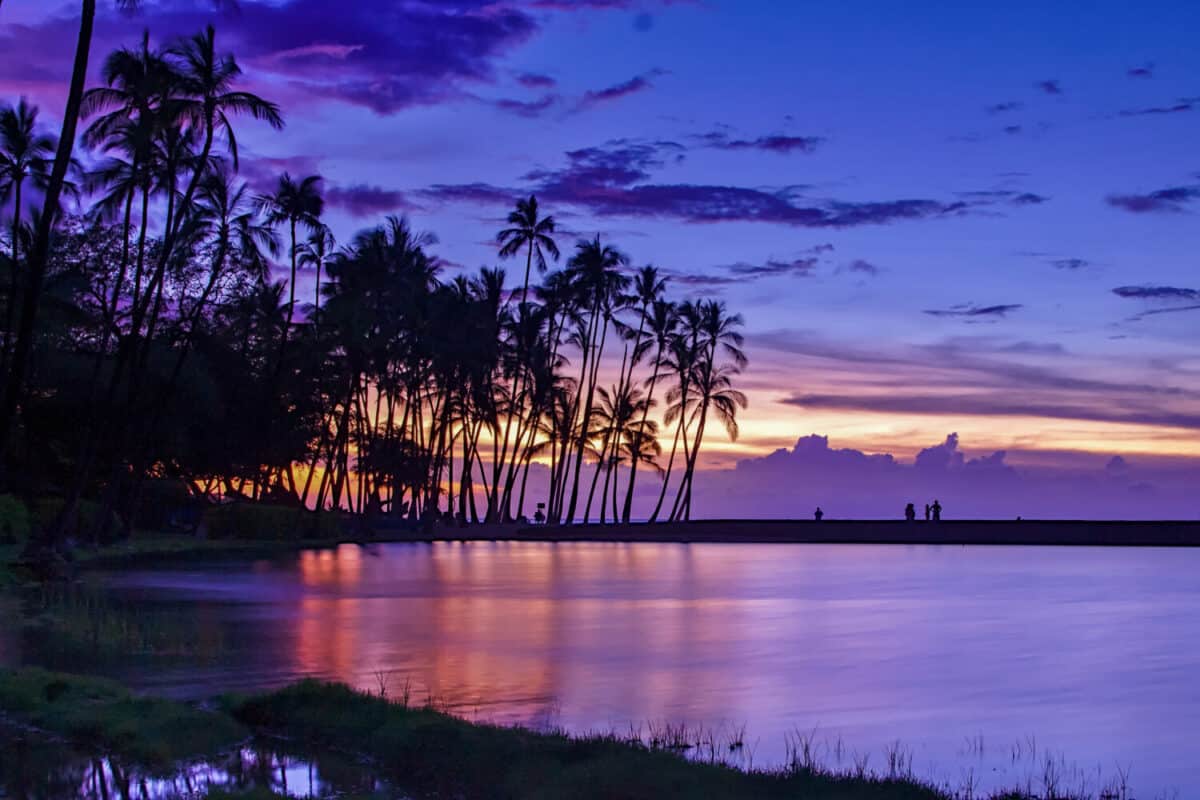 Sunset with palms at Waikoloa beach with colorful skies, Big Island, Hawaii
