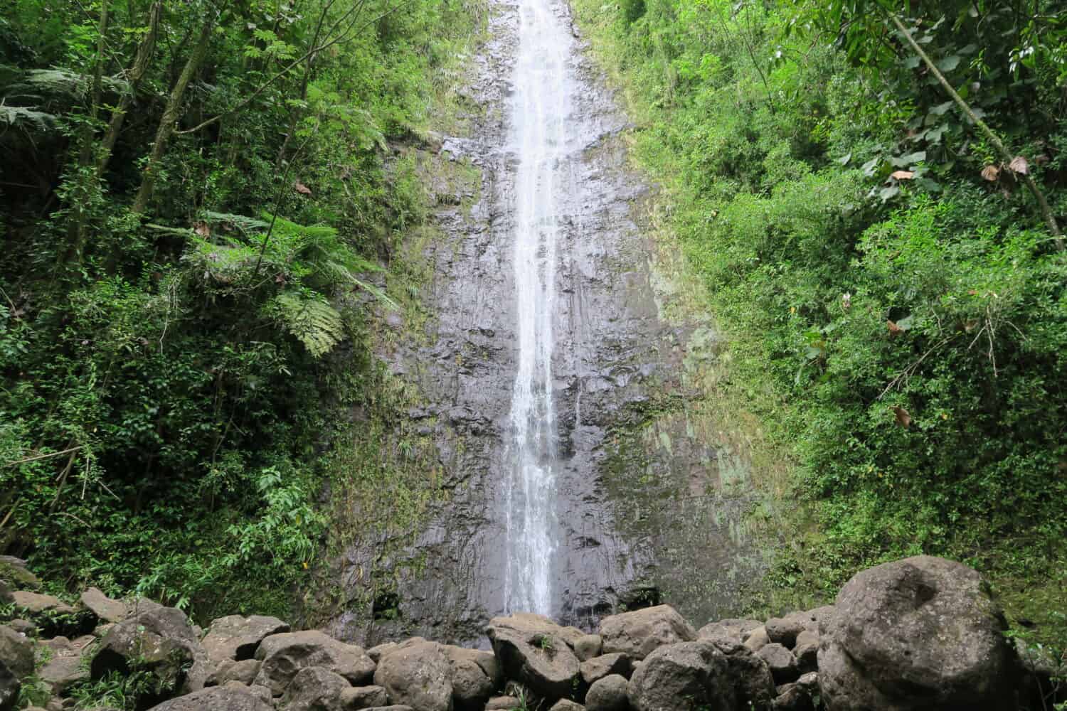 Manoa Falls in Honolulu, Oahu, Hawaii