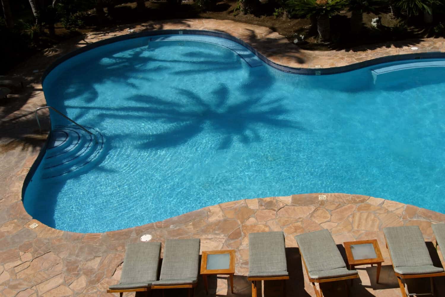 The shadow of a palm is reflected on a pool at a resort hotel on the Big Island of Hawaii.