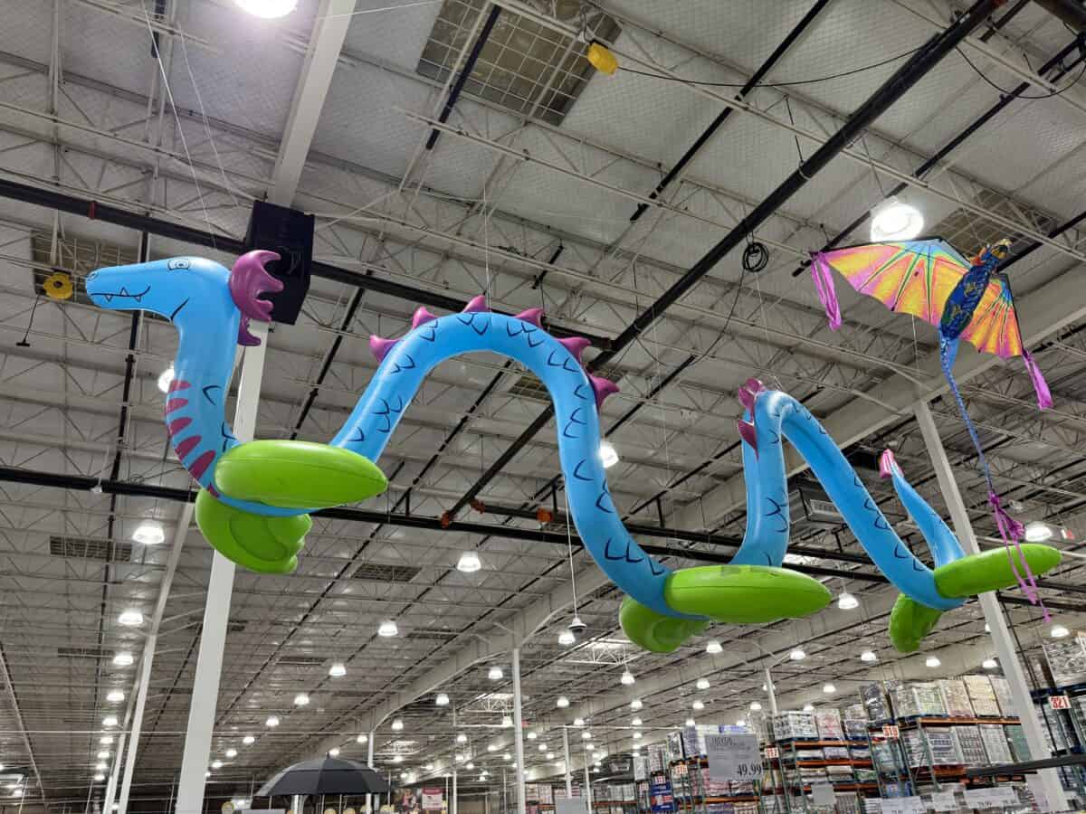 H2 Go Sea Serpent Water Inflatable at Costco