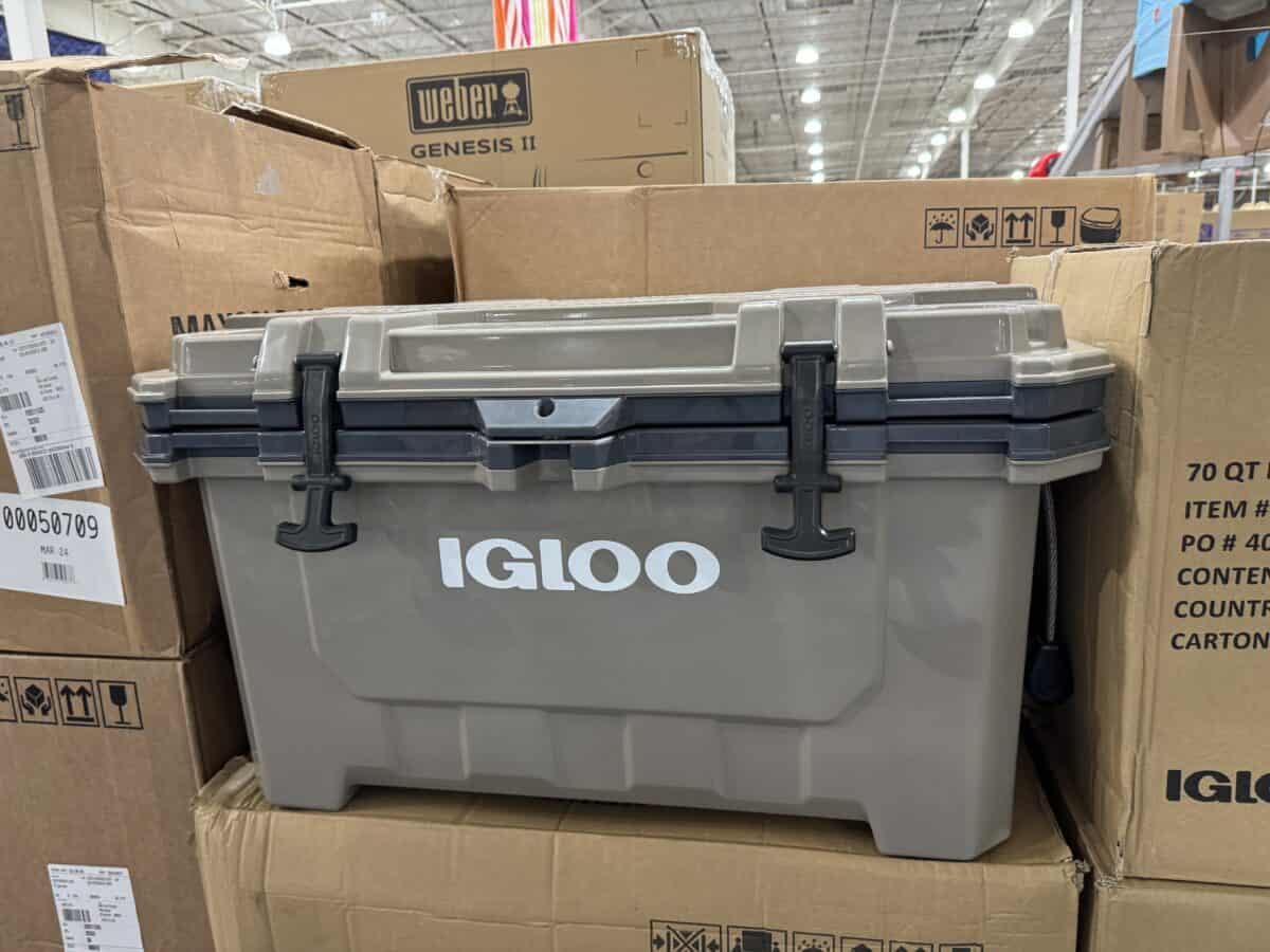 Igloo IMX 70 Cooler at Costco