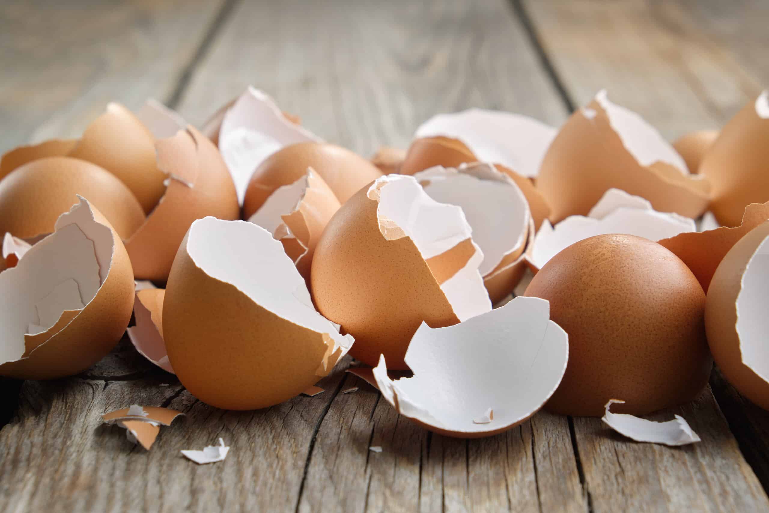 5. Eggshells