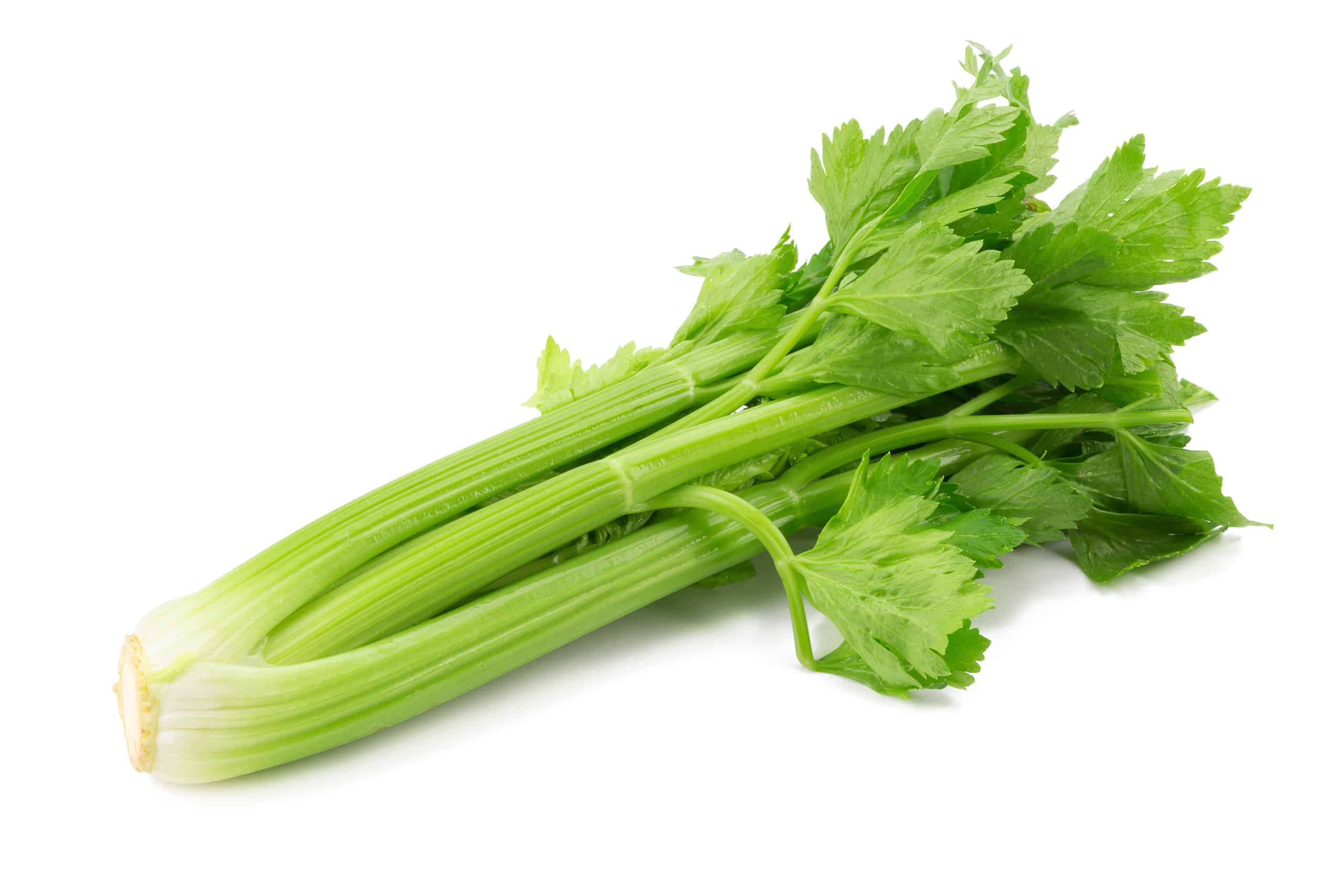 4. Celery