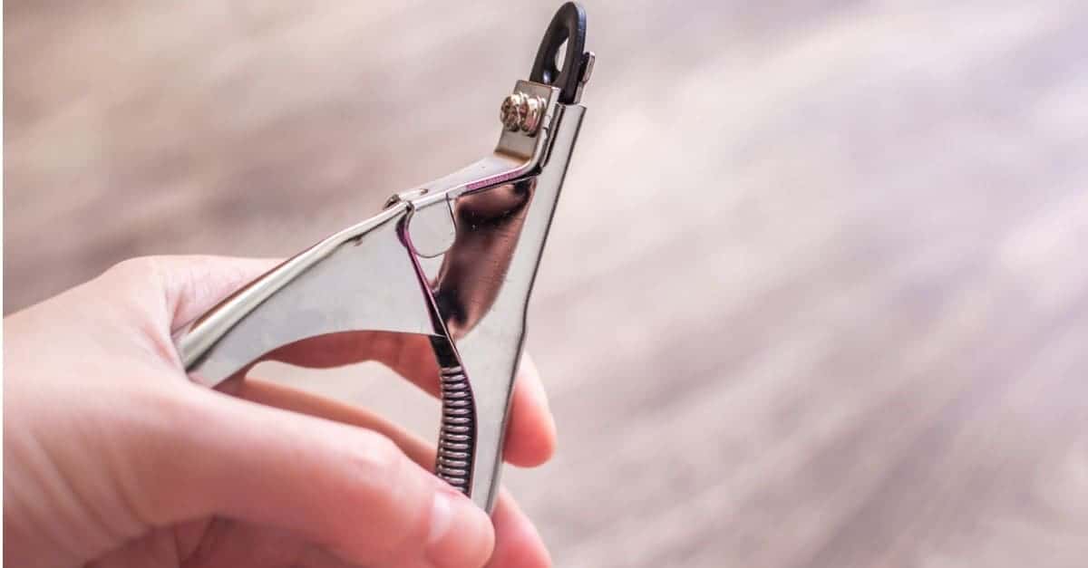 Get Your Nail Clipping Tools