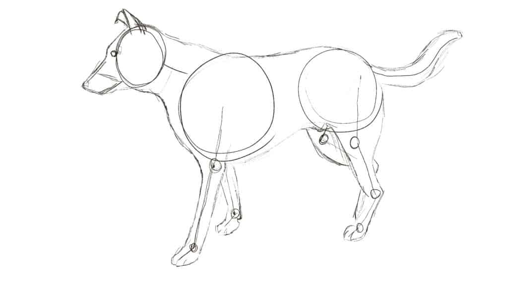 How to draw a dog step 3