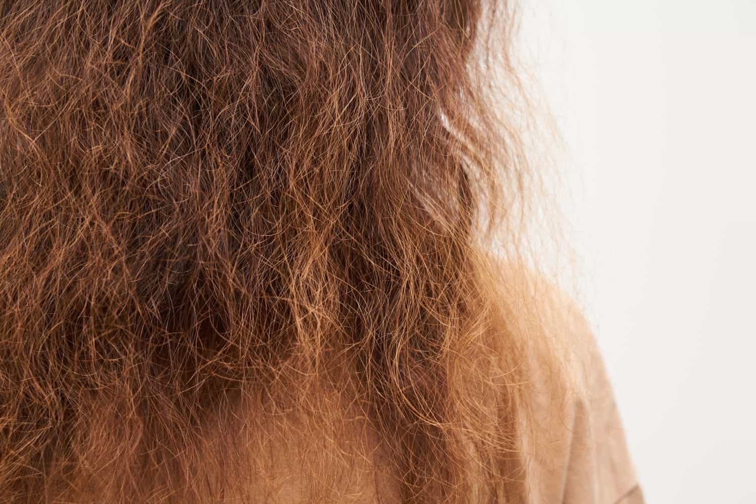 The Best 6 Shampoos for Extremely Dry Hair, and Where to Buy Them Now
