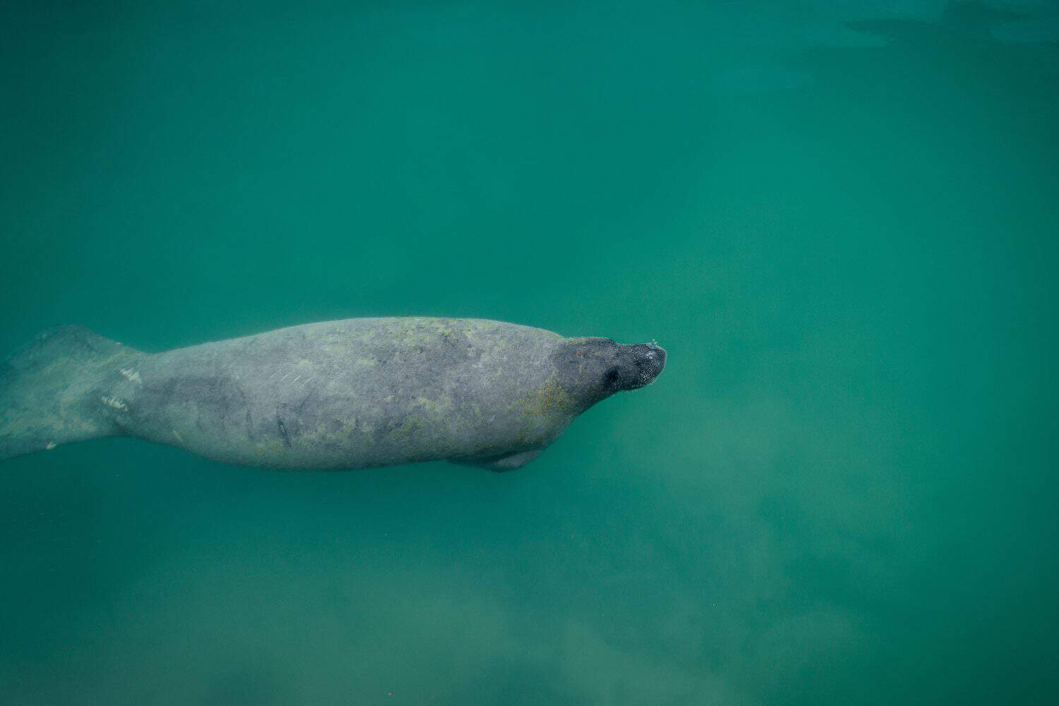 3. Biscayne, Florida