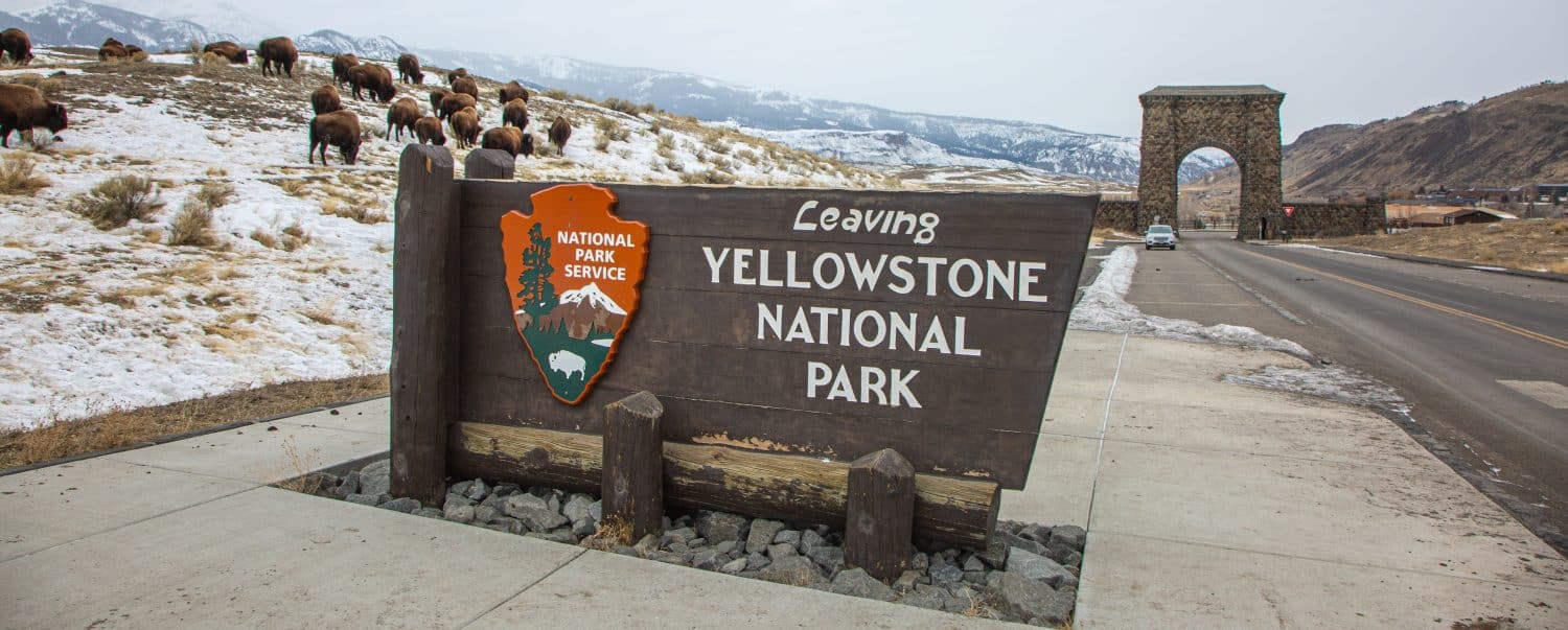 1. Yellowstone