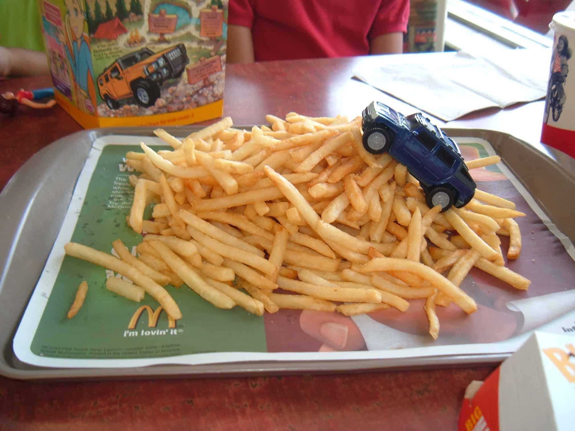 What Makes the Fries so Great?