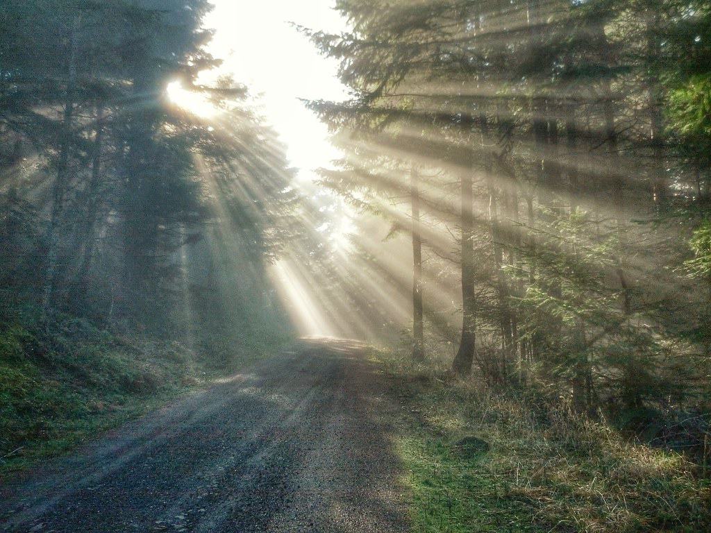 39. Roseburg, OR
