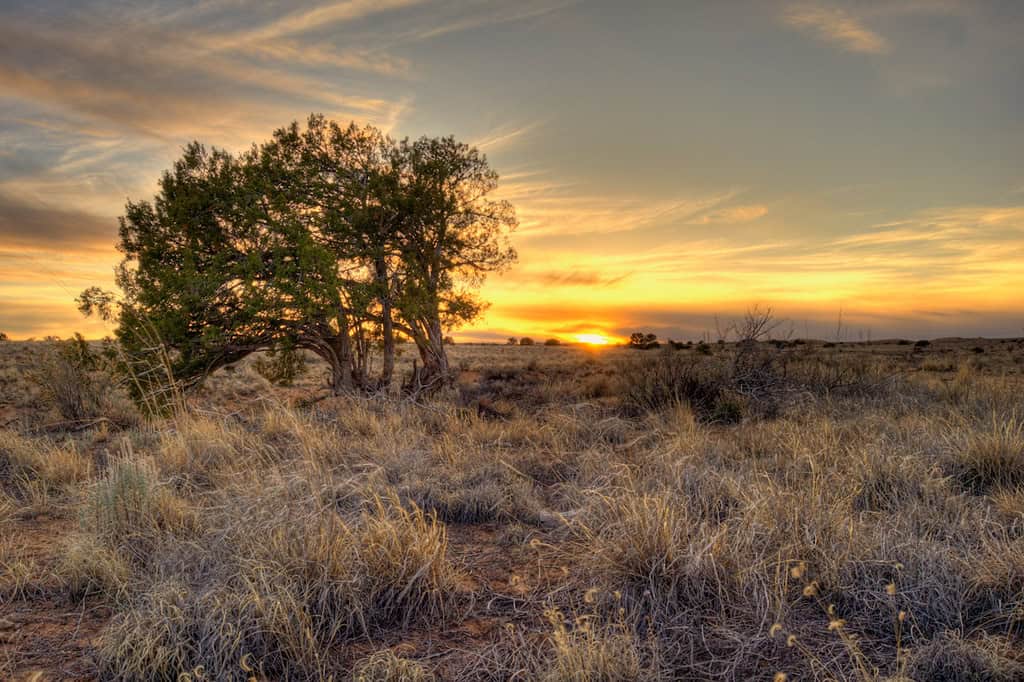 6. Rio Rancho, NM