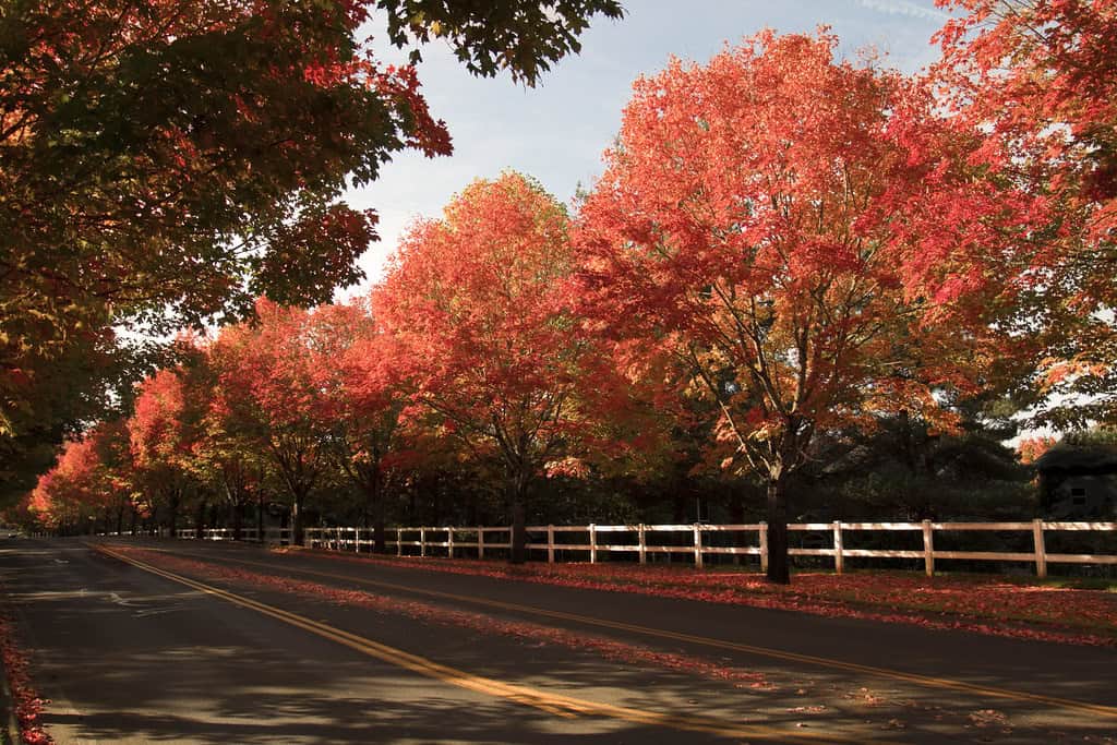 31. Sherwood, OR
