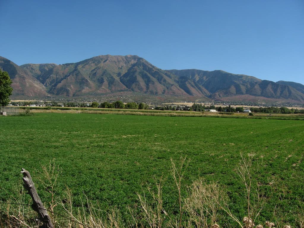 49. Elk Ridge, UT