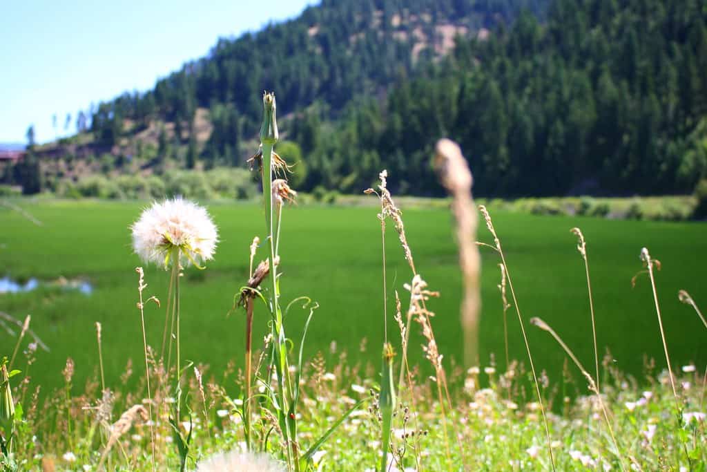 48. Coeur d'Alene, ID