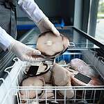 LG's Top Refrigerators