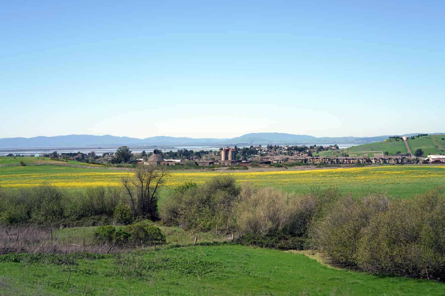 44. American Canyon, CA