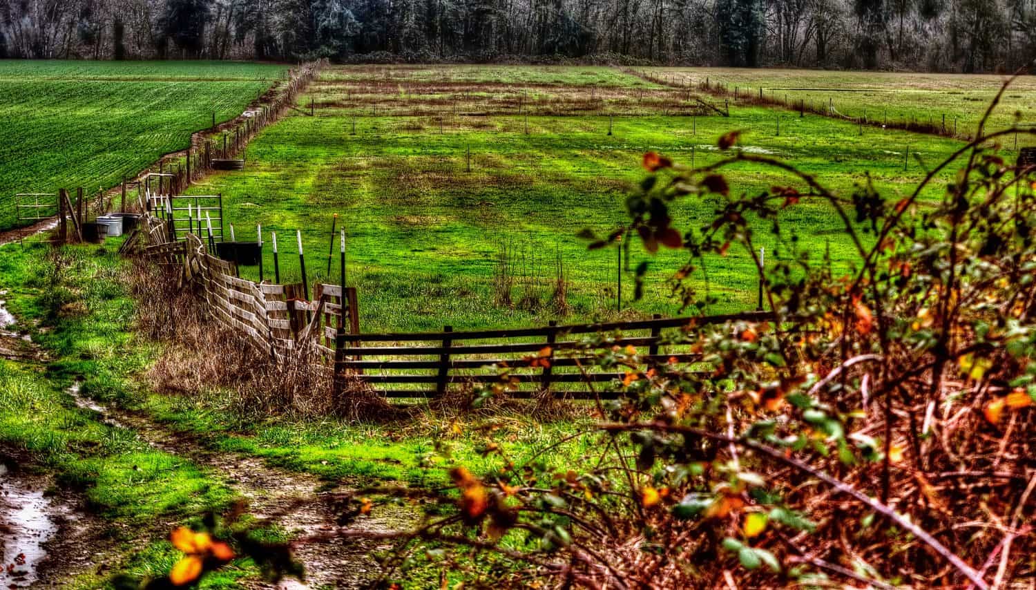 14. Lafayette, OR